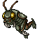 Warrior Ant.gif